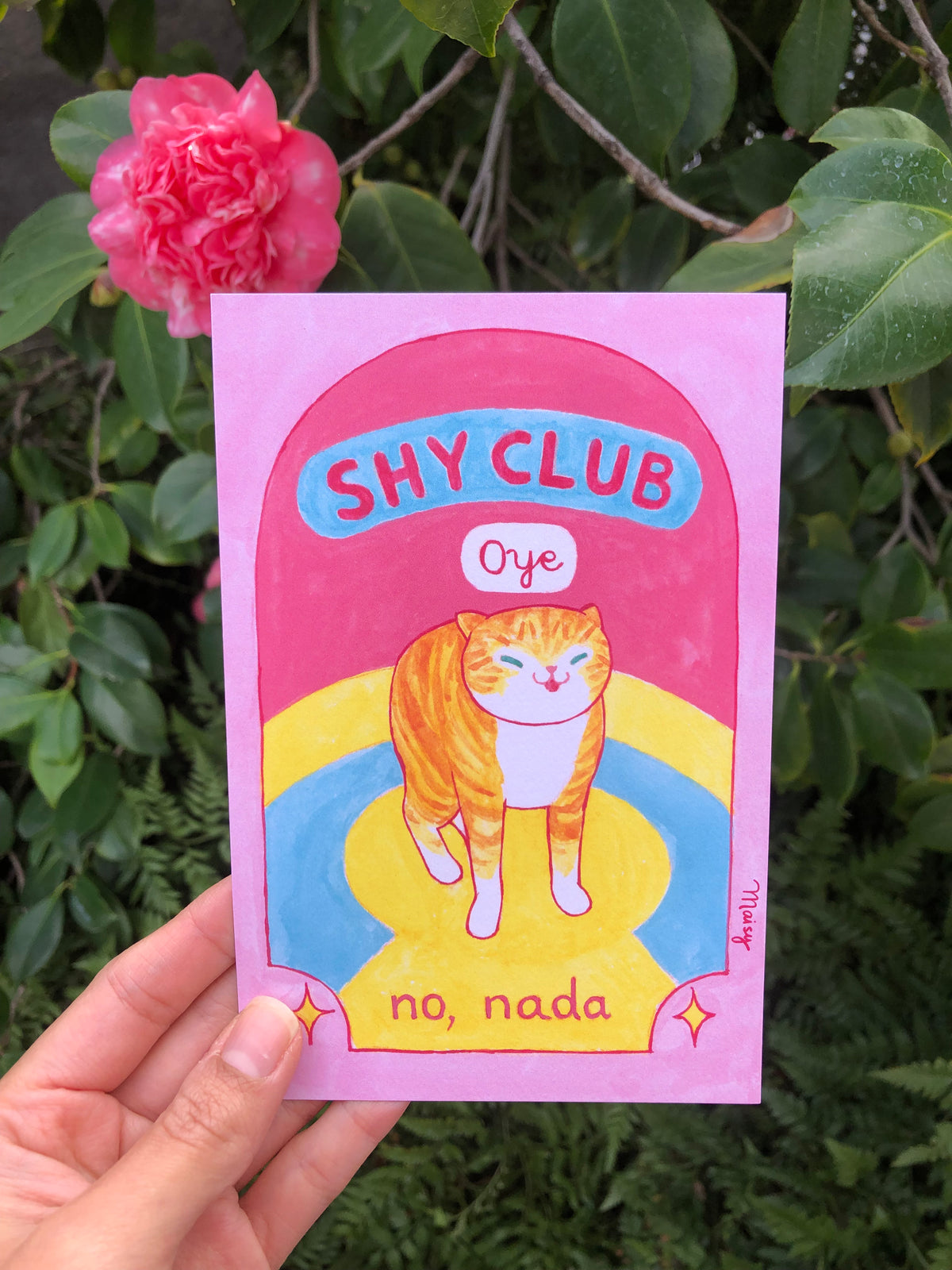 Postal Shy Club