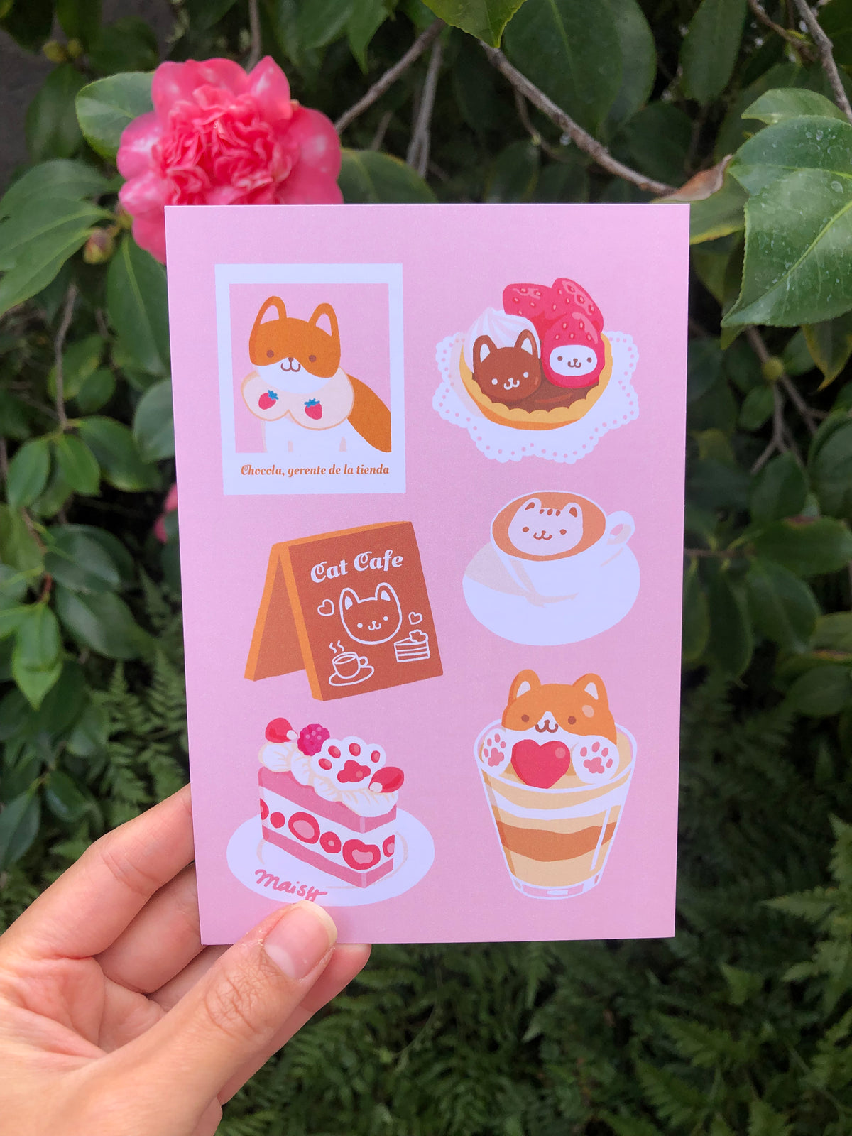 Postal Cat Café