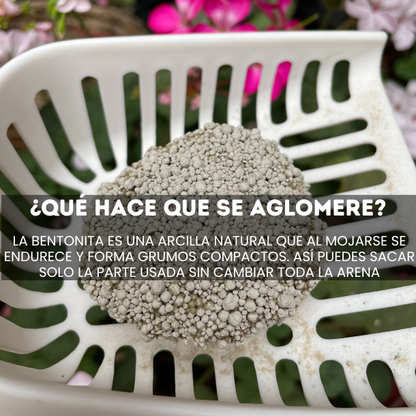 Arena Minino Aglutinante 40kg + 4kg Regalo