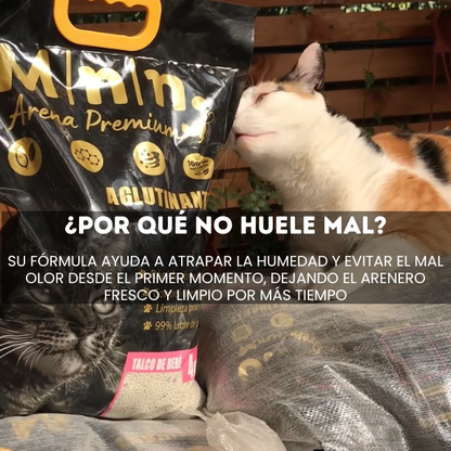 Arena Minino Aglutinante 40kg + 4kg Regalo